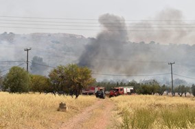 Τρίκαλα: Φωτιά στην περιοχή της Μεγάρχης